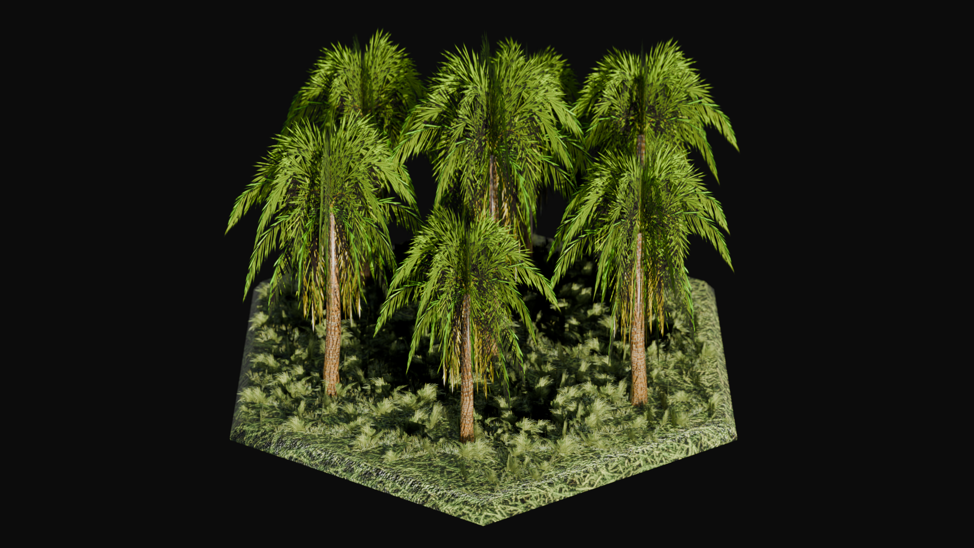 Tropical Seasonal Forest biome